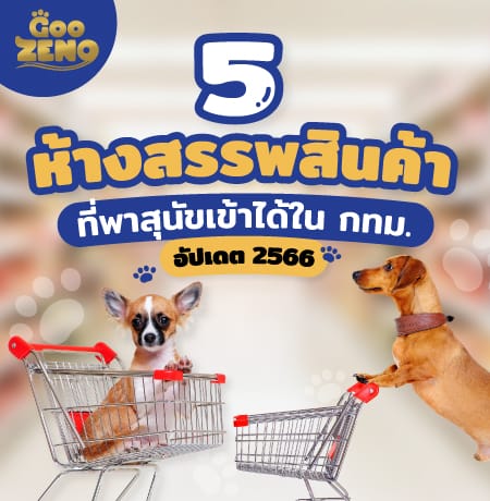 รวมห้างสรรพสินค้า Pet Friendly ที่พาน้องหมาเข้าได้ใน กทม.