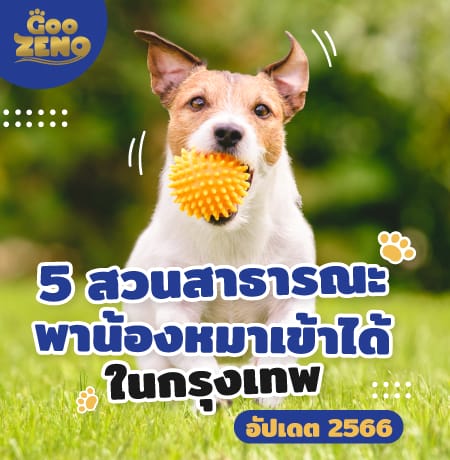 รวมสวนสาธารณะ ที่พาสุนัขเข้าไปเดินเล่นได้